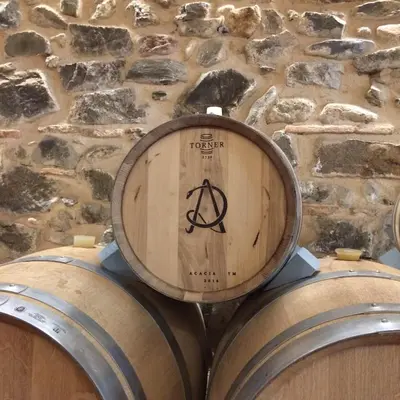 Plano de L'Hostatgeria del Celler