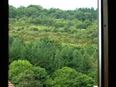 Paisaje cerca de este apartamento