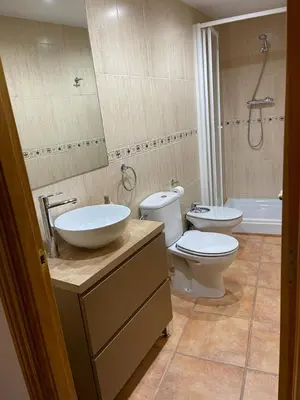 Un baño de Apartamento Rural Casa Bergua en Arguis
