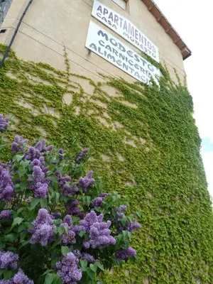 Jardín al aire libre en Apartamentos Casa Modesto
