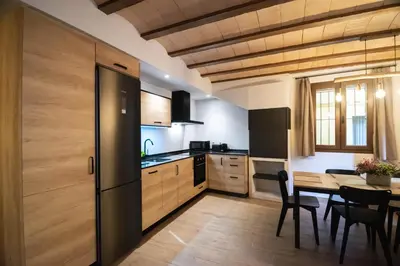 Una cocina o zona de cocina en Cal Negret Rural Apartments