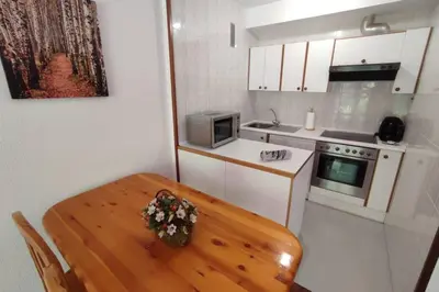 Una cocina o zona de cocina en Martina VUT , Estación de Canfranc