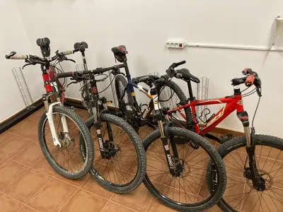 Montar en bicicleta en La bicicleta del Moncayo o alrededores