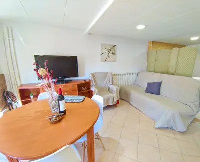 Una televisión o centro de entretenimiento en Apartament MACABEU CIM apartaments