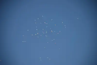Plano de La Quadra de Quelo 1