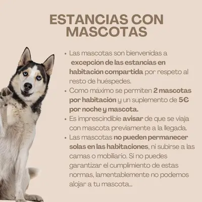 Mascotas con sus dueños en Albergue rural l'Almada de Yebra