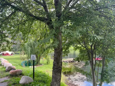 Paisaje cerca de este apartamento