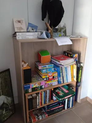 Biblioteca en el apartamento