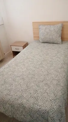 Cama o camas de una habitación en Apartamento Bornos&Huesca