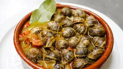Comida en o cerca de este hotel