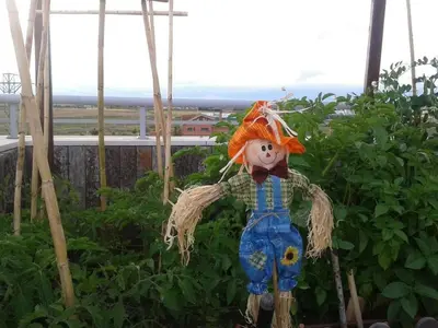Jardín al aire libre en Ático spa rural