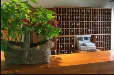 Zona de estar de Acogedor apartamento a pie de pistas cota 1500