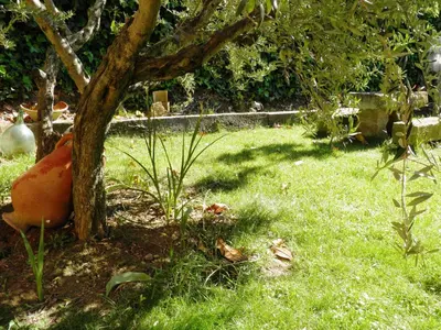 Jardín al aire libre en Hostal Rural Txapi Txuri Logis Hotels