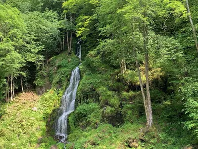 Paisaje cerca de este apartamento