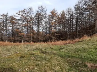 Paisaje cerca de este apartamento