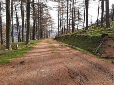 Paisaje cerca de este apartamento