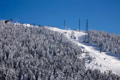 Val de Ruda Luxe 67 by FeelFree Rentals en invierno