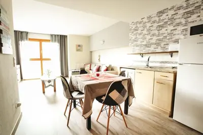 Una cocina o zona de cocina en Mirador de Sallent - piso con vistas