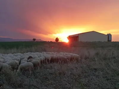 Amanecer o atardecer desde la casa o chalet o alrededores