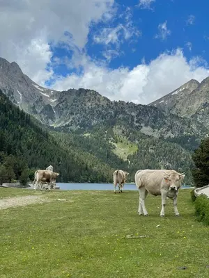 Paisaje cerca de este apartamento