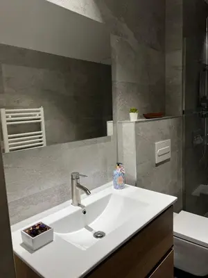 Un baño de Apartamento Ibones