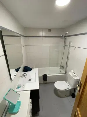 Un baño de Ático Dúplex Alemar