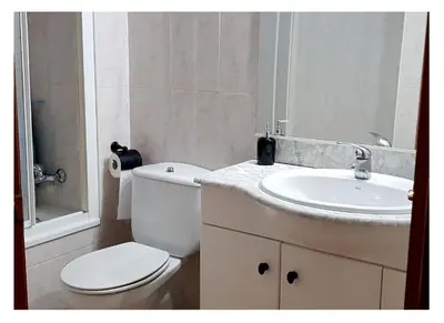 Un baño de Apartamento Holidays in Ainsa
