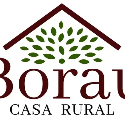 Casa Rural Borau