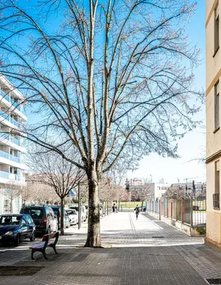 El barrio de los alrededores o un barrio cerca de este apartamento