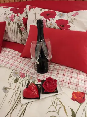 Bebidas en El Racó de la Civaderia, casa en Montblanc