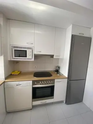 Una cocina o zona de cocina en APARTAMENTO TURIETO (BROTO-ORDESA)