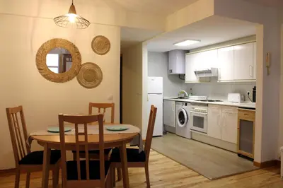 Una cocina o zona de cocina en Apartamento Pinsapo Canfranc-Estación