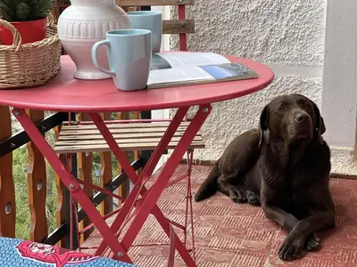 Mascotas con sus dueños en Betato ✪ Terraza, WiFi & trastero · Pirineos360