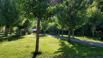 Jardín al aire libre en Camping Llavorsi