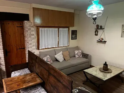 Zona de estar de Apartamento Selva Blanca 9