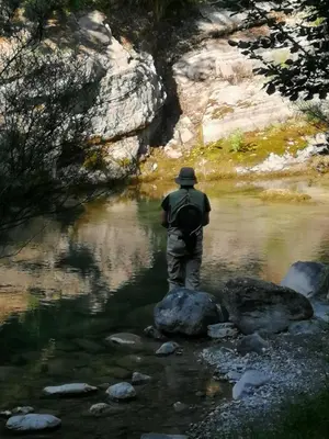 Paisaje cerca de este apartamento