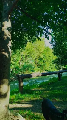 Paisaje cerca de este apartamento