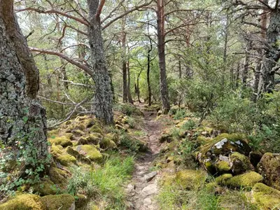 Paisaje cerca de este apartamento