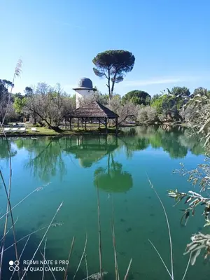 Paisaje cerca de este apartamento