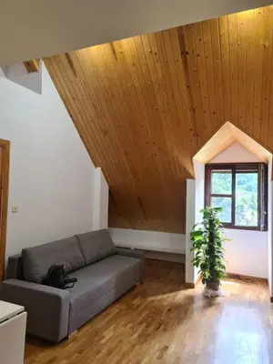 Zona de estar de Apartamento en Panticosa