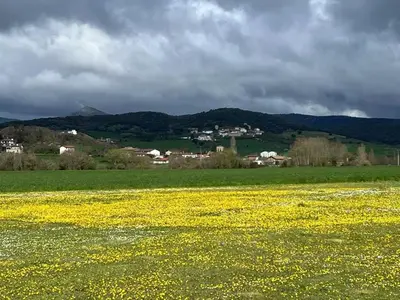 Paisaje cerca de este hostal o pensión