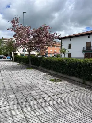 El barrio de los alrededores o un barrio cerca de este hostal o pensión