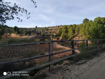 Paisaje cerca de este apartamento