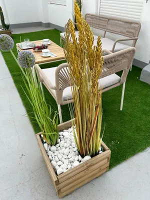 Jardín al aire libre en Casa Fitero
