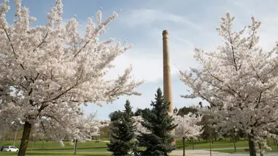 Jardín al aire libre en Precioso apartamento en Pamplona junto al centro