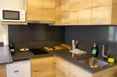 Una cocina o zona de cocina en Apartaments Areny - L'Amfitriona