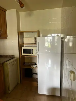 Una cocina o zona de cocina en Apartamentos SNÖ Cerler