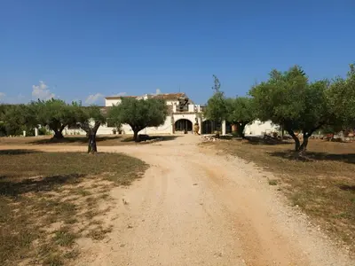 Paisaje cerca de este resort