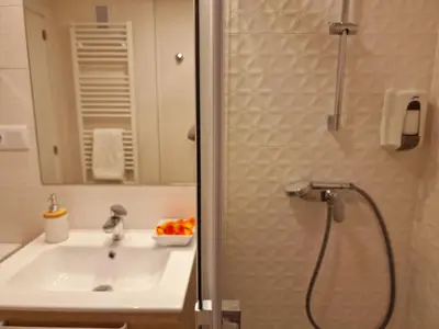 Un baño de ESQUÍ PIRINEO ARAGONÉS APARTAMENTO EL JUNCARAL Wifi