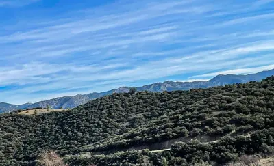 Paisaje cerca de este apartamento